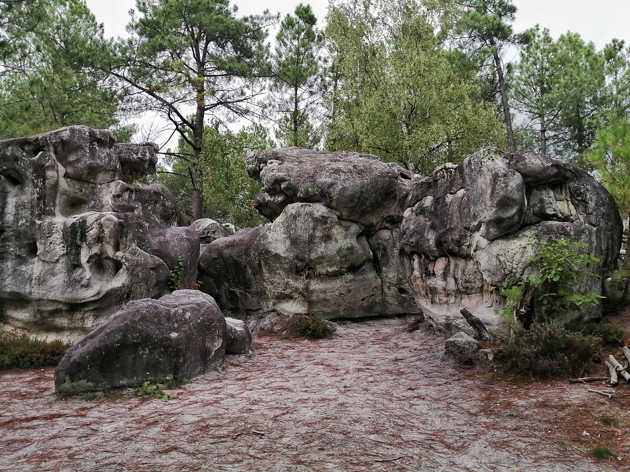Avalonia